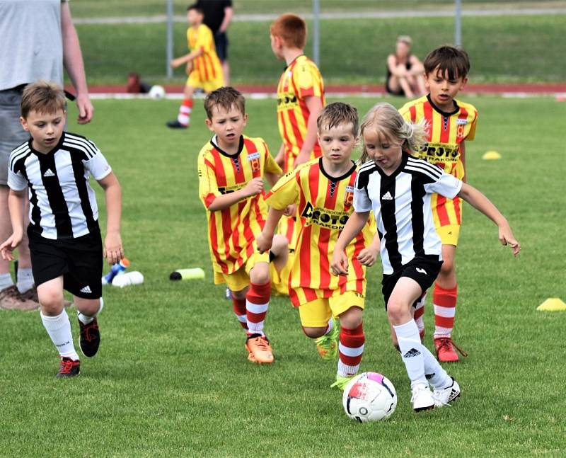 KP přípravek: Junior Strakonice - Veselí nad Lužnicí 8:24.