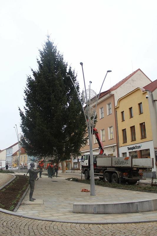 Kácení stromu v Blatné, jeho přeprava do Strakonic a umístění na Velkém náměstí.