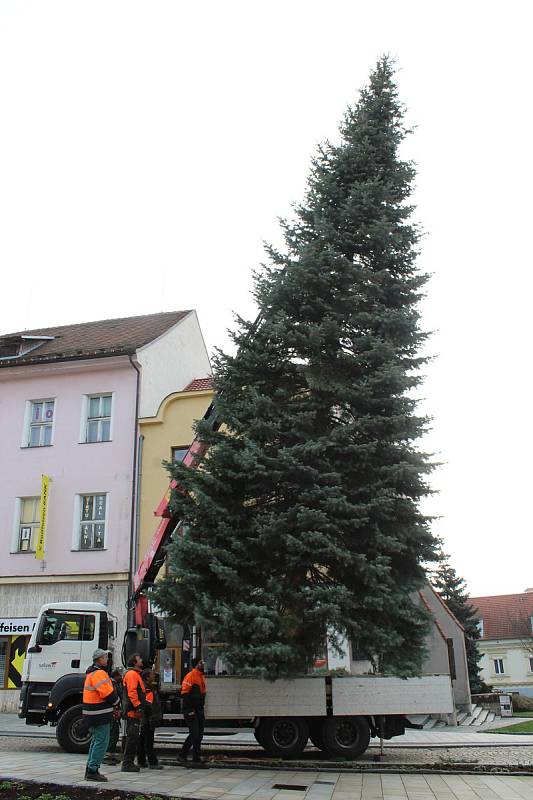 Vánoční strom Strakonice.