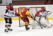 Hokejisté HC Strakonice i Sokola Radomyšl startují play off. Ilustrační foto.