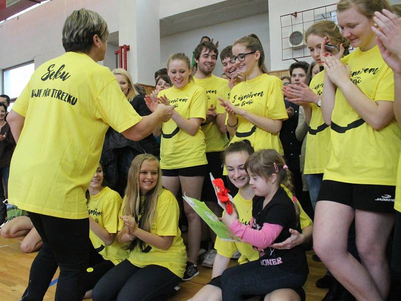 IV. ročník charitativního volejbalového turnaje učitelky mělnického gymnázia Zdeňky Sekulové a jejích studentů.