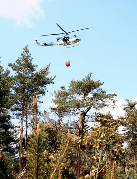 Foto z lesního požáru  na Liběchovsku.