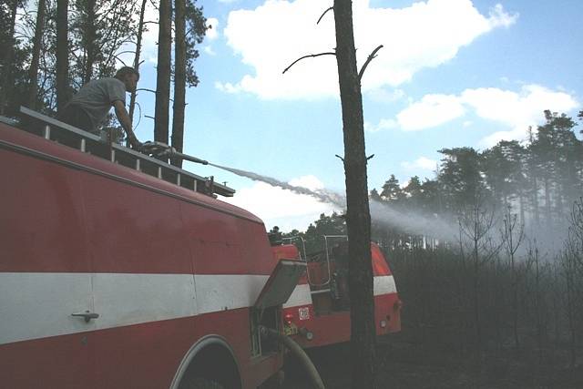 Foto z lesního požáru  na Liběchovsku.