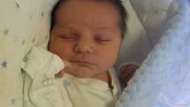 Adam Akrimi se rodičům Denise Petříkové a Taoufikovi Akrimi z Konětop narodil v neratovické porodnici 29. prosince 2016, vážil 3,99 kg a měřil 52 cm.