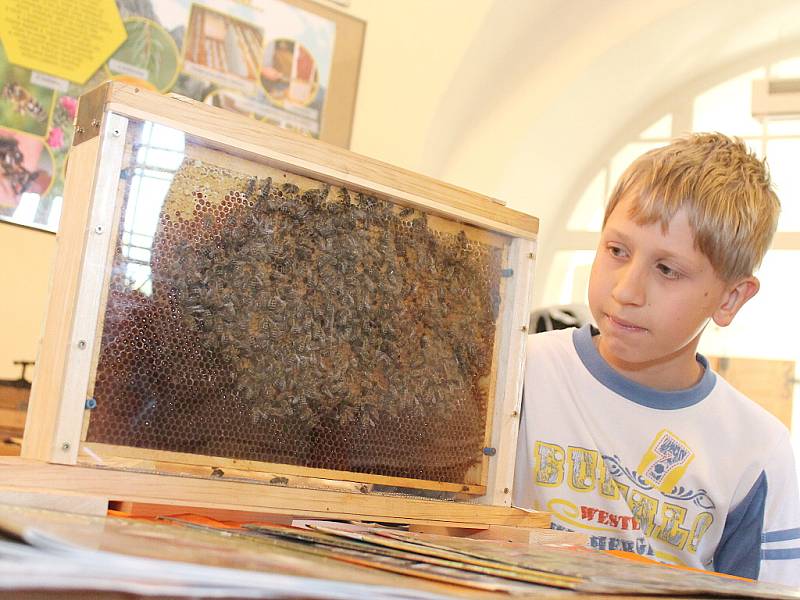 Veltruští včelaři vystavují na zámku.