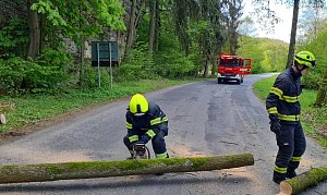Na silnici u Nebužel spadl strom, hasiči museli kmen rozřezat.