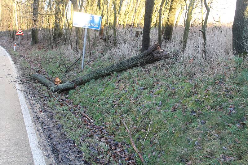 Pondělní vichřice za sebou zanechala popadané stromy také na silnici nedaleko Mšena směrem na Vrátno.