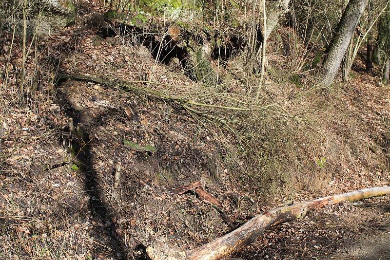 Orkán Sabine zanechal své stopy také na Kokořínsku. Polámané stromy u silnice jsou toho důkazem. Naštěstí zde prozatím nedošlo k žádné dopravní nehodě.