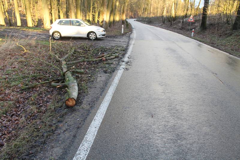 Pondělní vichřice za sebou zanechala popadané stromy také na silnici nedaleko Mšena směrem na Vrátno.