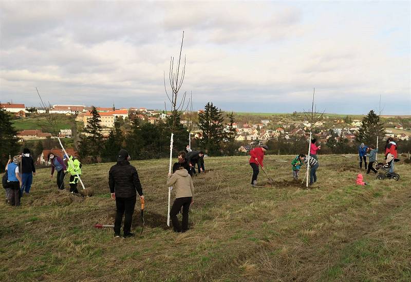 Nový sad  vyrůstá Tuchoměřicích v lokalitě zvané Nad Skálou