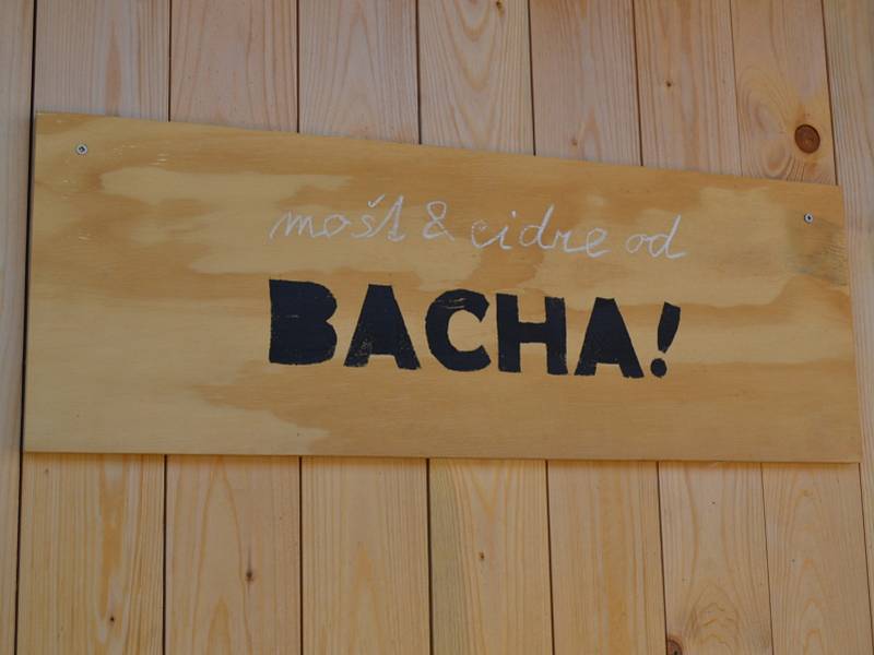 Bacha, blíží se cidre od Bacha