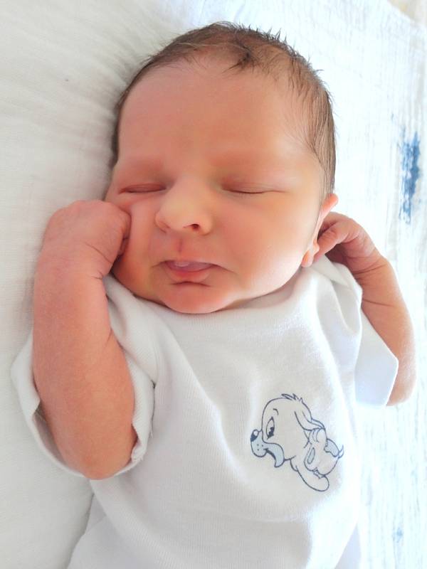 Dominik Melnyk se rodičům Svitlaně a Ruslanovi z Neratovic narodil v neratovické porodnici 14. 7. 2013, vážil 3,1 kg a měřil 48 cm. Na bratříčka se těší 18letý Andrej.