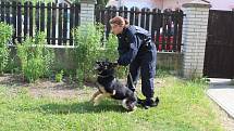 Policejní psovodi předváděli umění služebních psů na Základní škole v Lužci nad Vltavou.