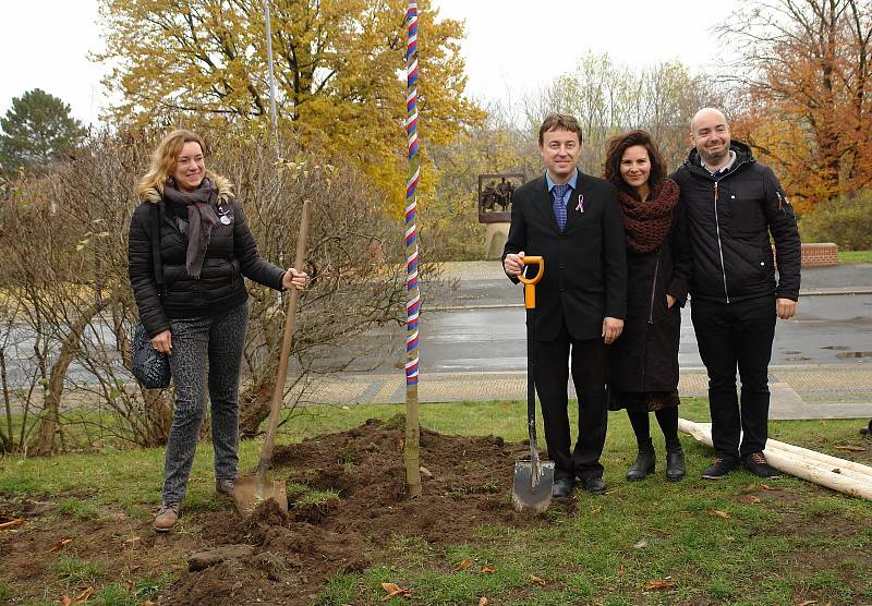 V Jungmannových sadech v Mělníku byl během sváteční neděle zasazen památný strom svobody, který městu věnoval Mělnický osvětový a okrašlovací spolek k třicátému výročí sametové revoluce.