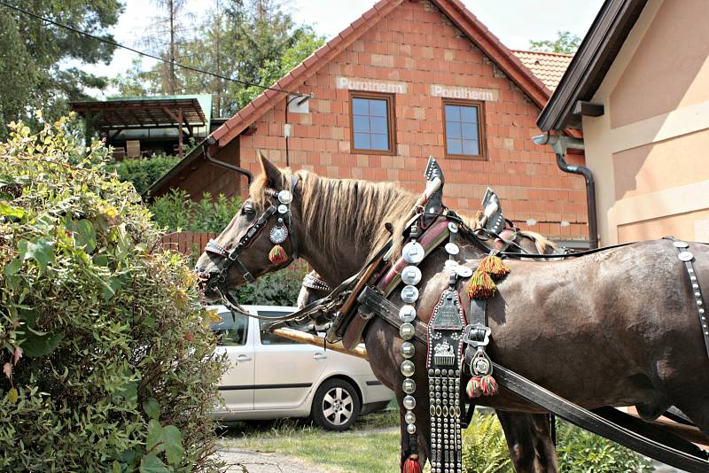 Dny lidové architektury byly slavnostně zahájeny, potrvají až do 28. července.