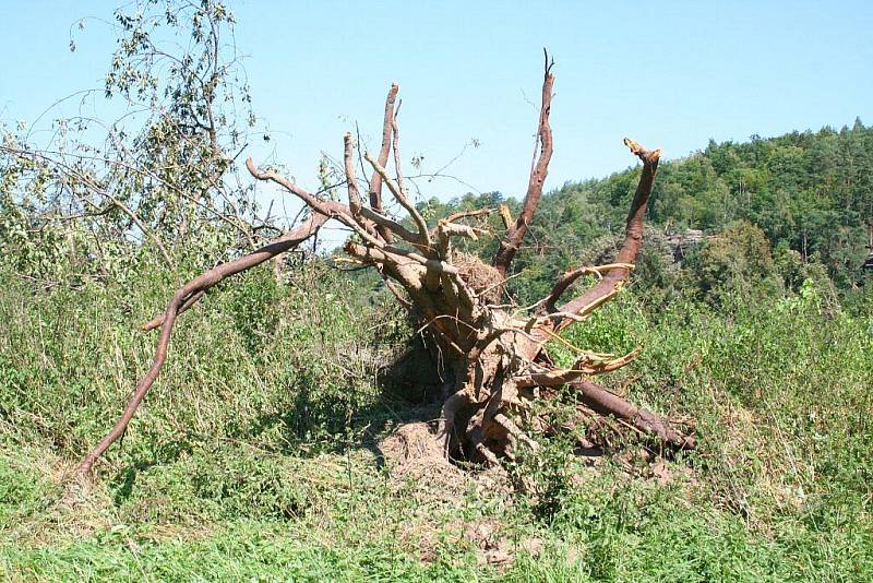 Vichřice napáchala největší škody na Kokořínsku