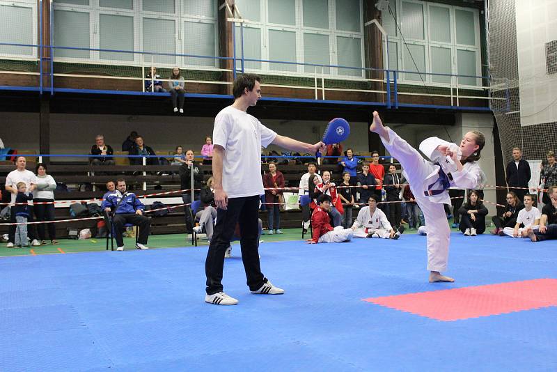 Na domácí turnaj mělnických taekwondistů dorazily téměř dvě stovky závodníků z celého Česka. Mělnický tým nakonec skončil na skvělém čtvrtém místě. V turnaji skills, ve kterém reprezentovali vždy tři bojovníci z každého týmu, skončilo mělnické Hansoo na z