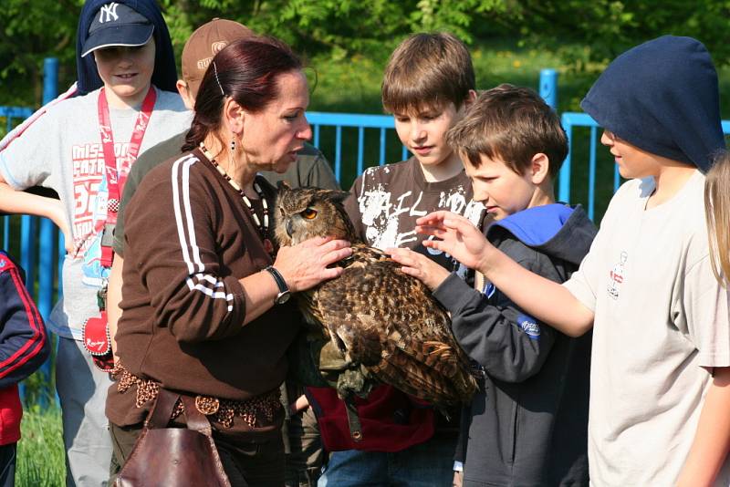 Den Země v mělnickém psím útulku