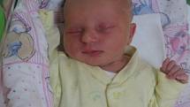 Helena Rybová se rodičům Heleně Hudíkové a Janu Rybovi z Brandýsa nad Labem narodila v mělnické porodnici 8. července 2014, vážila 2,39 kg a měřila 44 cm. Na sestřičku se těší sourozenci.