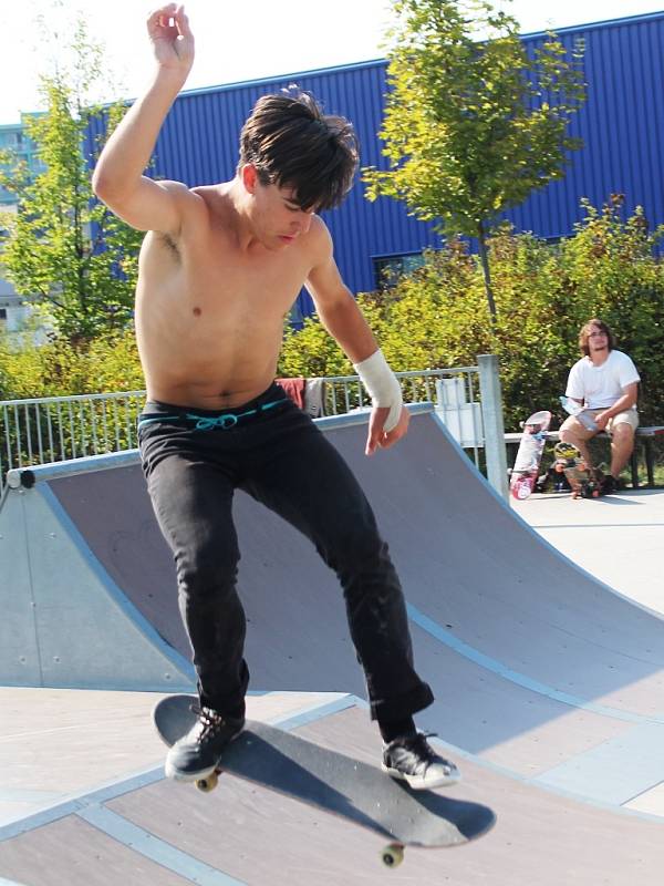 Sk8 Contest 4. 