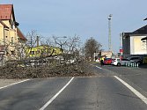 Doprava v mělnické ulici u nádraží byla v době kácení hlídána městskou policí.