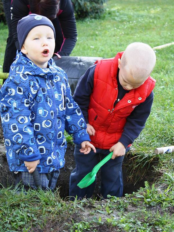 Výsadba Stromů pro děti, Neratovice.