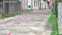 TANKODROM  Červené praporky jasně dokazují, že na pětačtyřicet metrů dlouhé části Máchovy ulice na Blatech je osmdesát hlubokých děr.