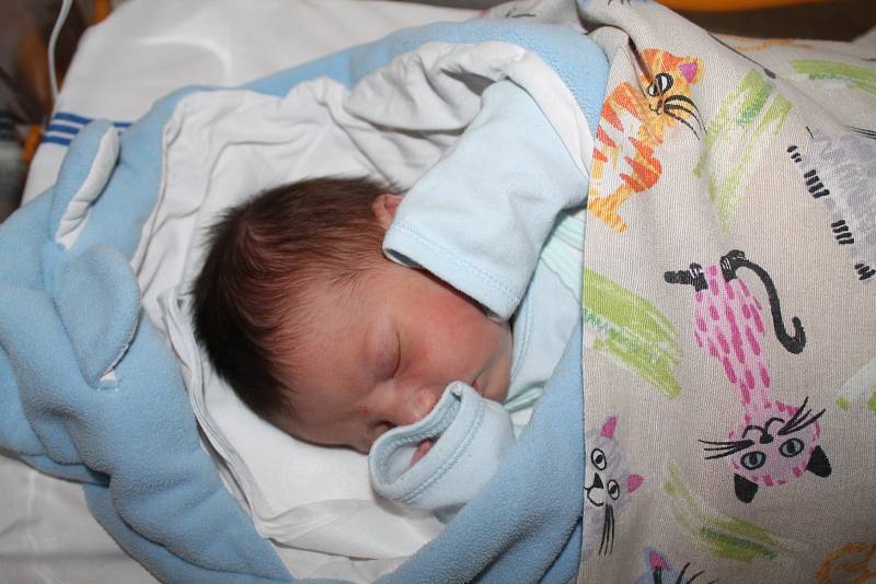 Rafael Trantina, Praha. Narodil se 22. 5. 2019, po porodu vážil 3680 g a měřil 53cm. Rodiče jsou Dan Trantina a Michaela Čajková.