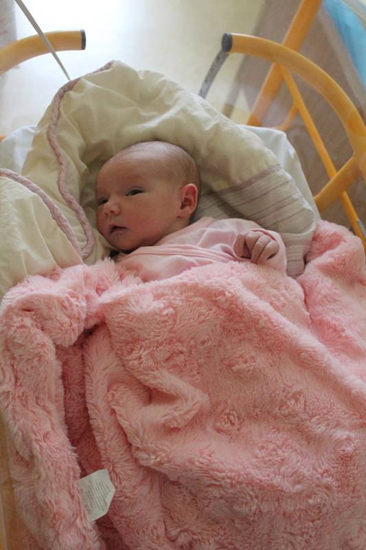 Julie Vonášková se rodičům Lucii Jírové a Janu Vonáškovi z Kralup narodila v mělnické porodnici 14. července 2017, měřila 49 centimetrů a vážila 3 kilogramy. 