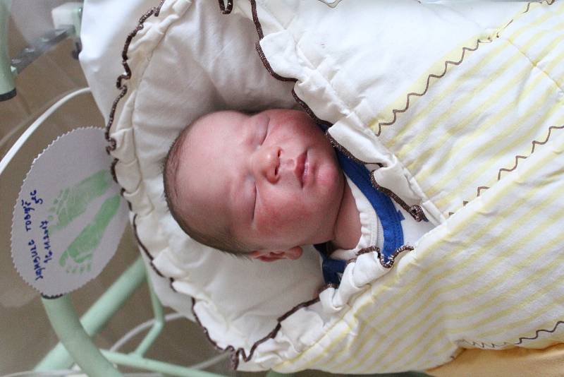 Tobiáš Hamburg se rodičům Dáše Houžvicové a Alexandru Hamburgovi z Mělníka narodil 16. listopadu 2017 v mělnické porodnici, měřil 51 cm a vážil 3,80 kg. Doma se na něj těší 4letý Sebastian.