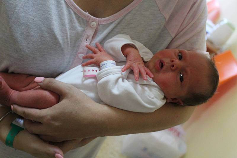 Tereza Pokorná se rodičům Kateřině a Michalovi ze Sudova Hlavna narodila v mělnické porodnici 24. července 2017, vážila 2,62 kilogramu a měřila 45 centimetrů. Doma se na ni těší 5letý Míša.