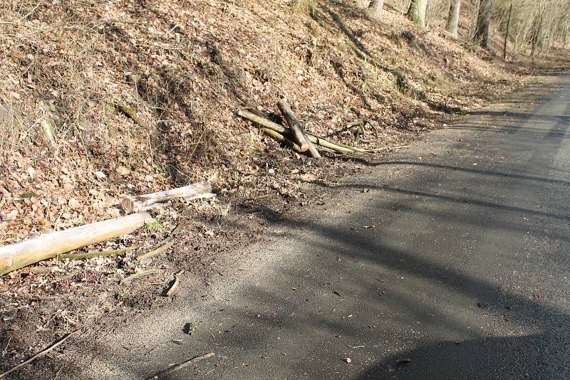 Orkán Sabine zanechal své stopy také na Kokořínsku. Polámané stromy u silnice jsou toho důkazem. Naštěstí zde prozatím nedošlo k žádné dopravní nehodě.