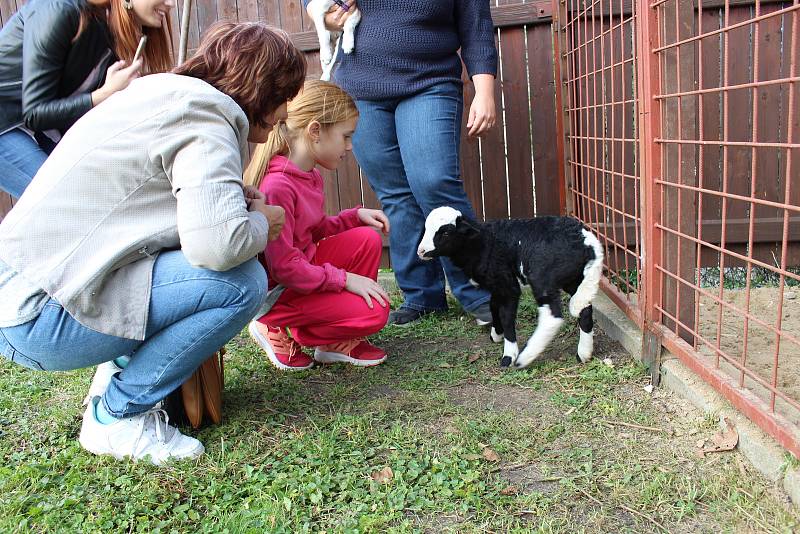 Novou prodejnu masa ze zvěřiny otevřeli v pátek odpoledne v Lesním závodu Maxmilián v Hostíně u Byšic na Mělnicku.