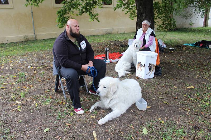 Padesát čuvačů bojovalo o titul šampióna.