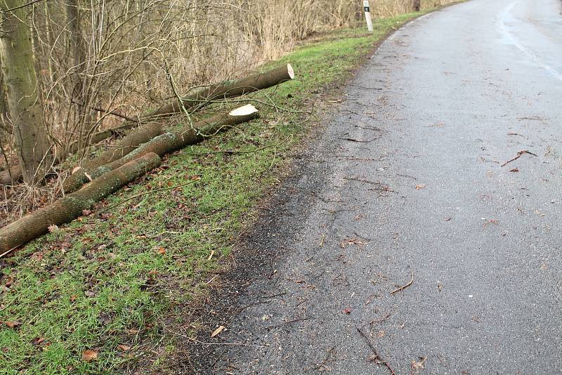 Pondělní vichřice za sebou zanechala popadané stromy také na silnici nedaleko Mšena směrem na Vrátno.