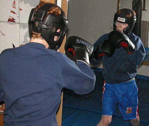 Z tréninku mladých mělnických boxerů