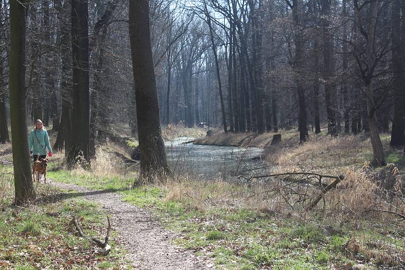 Začínající jaro v zámeckém parku Veltrusy.