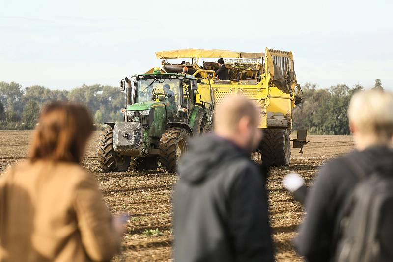 Ze sběru a uskladnění pozdních brambor na farmě v Zálezlicích.