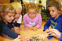 Ve škole se děti starají například i o páreček suchozemských želv.