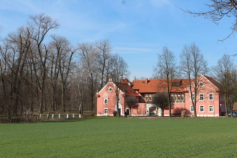 Začínající jaro v zámeckém parku Veltrusy.