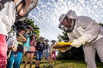 Lukáš Karlík, který se ve Spolaně stará o chov včel, dětem ukazuje postupy při stáčení medu.