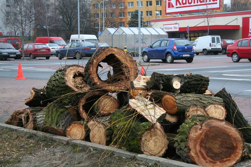 Kácení dvojice sedmdesátiletých vrb v Mělníku