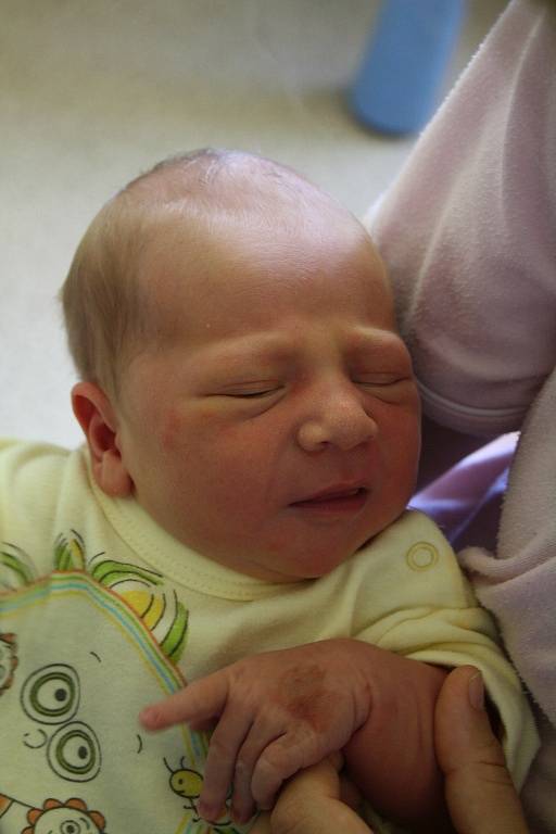 Lukáš Pavelka se rodičům Monice a Dominikovi z Prahy narodil v neratovické porodnici 20. června 2016, vážil 3,63 kg a měřil 50 cm. Na brášku se těší 3letý Daneček.