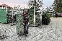 Stejně jako letos nabízí na Mělníku vánoční stromy firma sousedící s autobusovým nádražím.