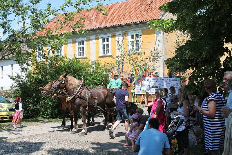 Obřístevský spolek májový uspořádal o víkendu Staročeské máje.