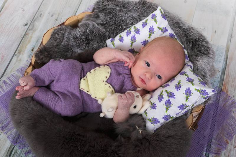 Sofie Koblížková, Mělník. Narodila se 1. října 2019, po porodu vážila 3 490 kg a měřila 50 cm. Rodiči jsou Karolína a Tomáš Koblížkovi.
