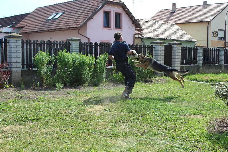 Policejní psovodi předváděli umění služebních psů na Základní škole v Lužci nad Vltavou.