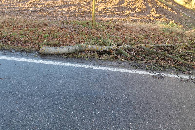 Pondělní vichřice za sebou zanechala popadané stromy také na silnici nedaleko Mšena směrem na Vrátno.