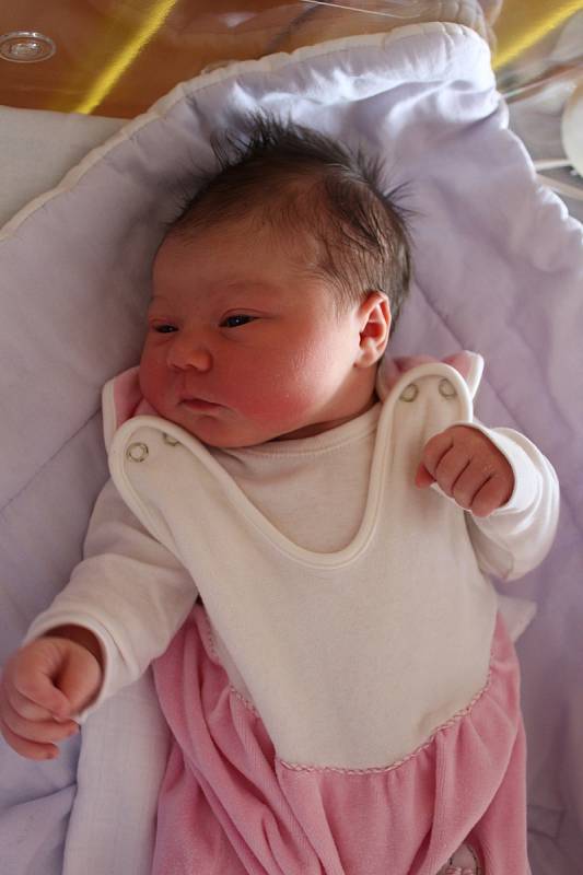 Adéla Bařinová se rodičům Andree a Martinovi z Čelákovic narodila 24. října 2017 v mělnické porodnici, měřila 53 centimetrů a vážila 4 kilogramy.