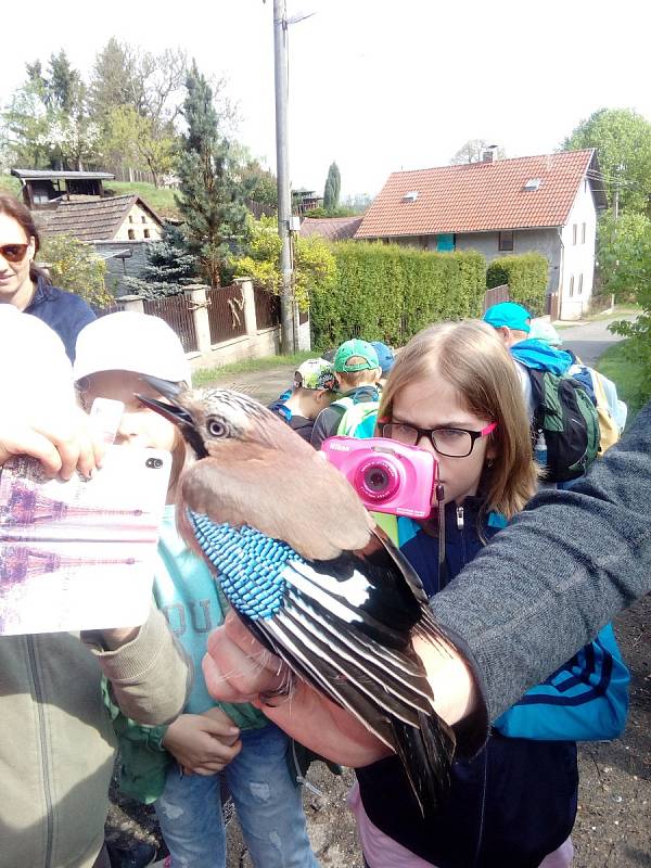 Letos tu bude k vidění například výstava Jak se žilo za protektorátu, Velikonoce v kavárně či Fenomén Kinder. Zajímavá bude určitě i podzimní výstava fotografií Podzim v zahradě.